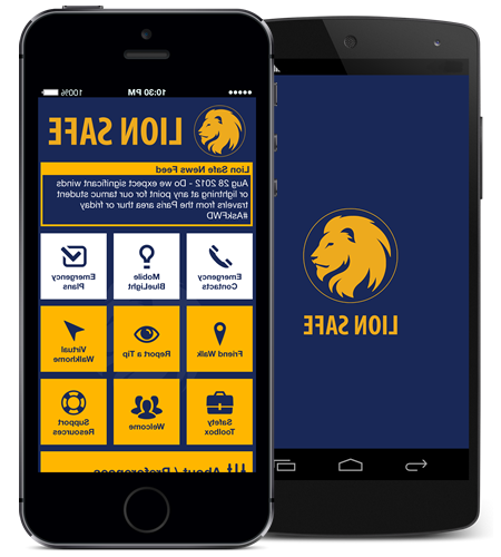 image of mobile phones with the Lion Safe app pulled up